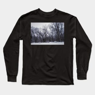 Winter's Arboreal Majesty Long Sleeve T-Shirt